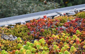 the cost of Rosgill green roof installation